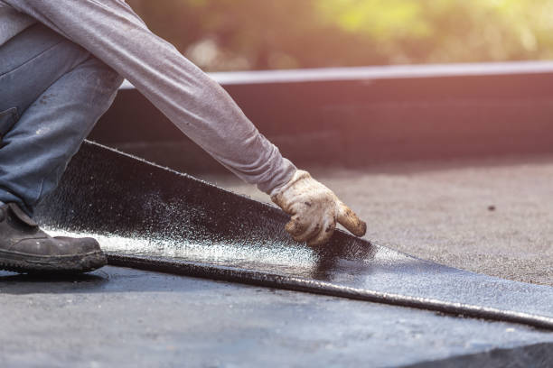 Professional Interior Drainage System technician working in North Evans, NY